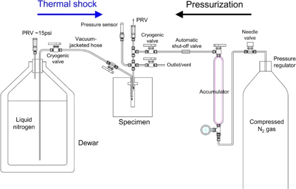 自動液氮泵補液系統